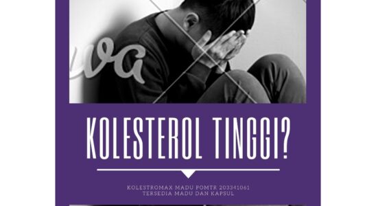 obat kolesterol